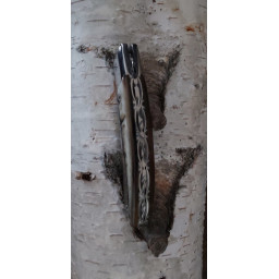 Lame DAMAS Couteau de Poche Le Thiers® RLT Claude Dozorme – Corne de Bélier