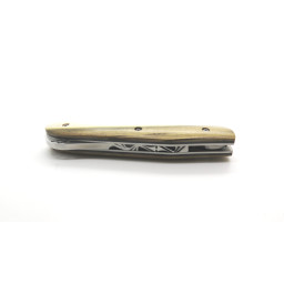 Couteau LUG HY105 Pistachier, finition acier brossé