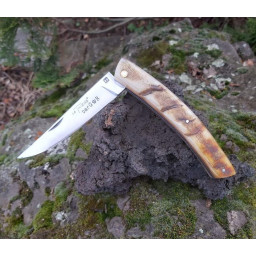 Couteau Pliant Le Thiers® Plein Manche – Corne de Bélier (Thiers-Issard)